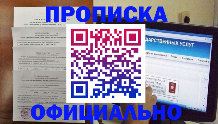 временная регистрация для школы в Волоколамске